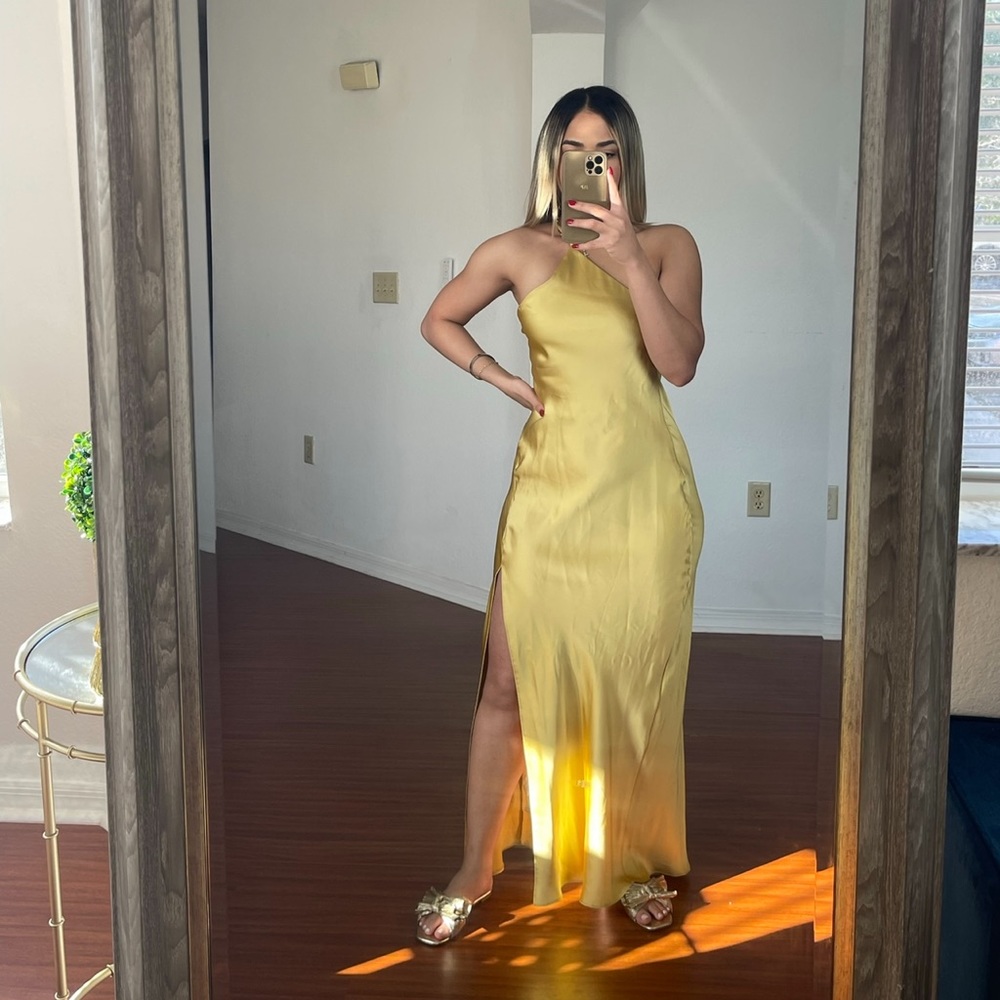 Zara silk backless dress